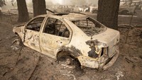 Sebuah mobil yang terparkir di kantor Departemen Kehutanan Oregon hangus terbakar. Rob Schumacher/Statesman-Journal via AP, Pool.