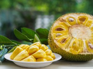 7 Manfaat Buah Nangka yang Jarang Diketahui