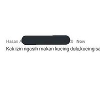 Wah kucingnya sudah seperti majikannya saja nih.. sampai-sampai lebih diutamakan dibandingkan mengikuti ospek online. Foto: Twitter/calcyferr
