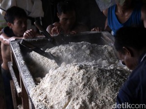 Limbah Organik Keras: Pengertian, Contoh, Pemanfaatan dan Pengolahannya