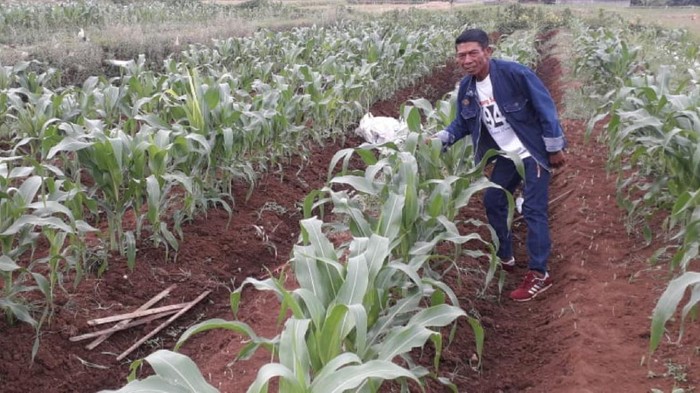 Petani di Sukabumi