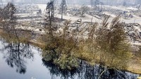 Rumah-rumah ini jadi korban kebakaran hutan hebat yang terjadi di California dan Oregon.