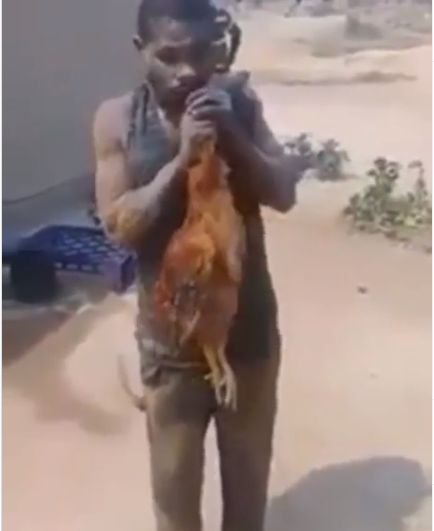 Tertangkap Maling Ayam, Pria Ini Dipaksa Makan Ayam Mentah Sebagai Hukuman
