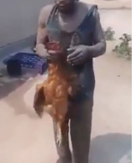 Tertangkap Maling Ayam, Pria Ini Dipaksa Makan Ayam Mentah Sebagai Hukuman