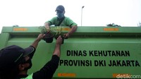 Anggaran pengadaan tanaman yang mencapai ratusan miliar itu mendapat respon beragam dari anggota DPRD DKI Jakarta. Salah satunya Viani Limardi, anggota DPRD DKI Fraksi Partai Solidaritas Indonesia (PSI).