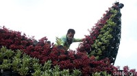 Viani beranggapan anggaran pengadaan tanaman yang mencapai Rp 115,4 miliar itu tak tepat karena saat ini Indonesia, khususnya Jakarta tengah disibukkan dengan upaya penanggulangan penyebaran virus Corona.