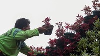 Di tengah kondisi perekonomian yang sulit imbas pembatasan aktivitas guna mencegah penyebaran virus Corona, Viani berpendapat akan lebih tepat bila Pemprov DKI Jakarta tak menghamburkan uang rakyat untuk berbelanja kebutuhan yang tidak mendesak.