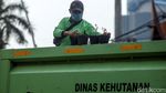 Anggaran Belanja Tanaman Pemprov DKI Rp 115,4 M di Tengah PSBB