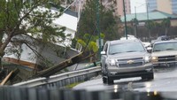Tampak kapal tersebut mendarat di tepi jalan.