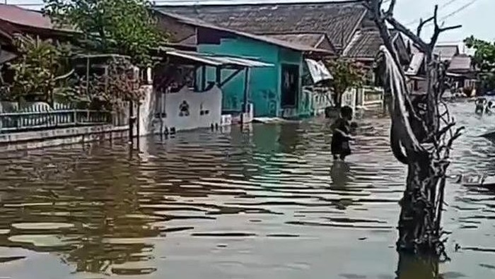 Banjir Rob Masih Terjadi Di Medan Belawan 20 Ribu Kk Terdampak 6515