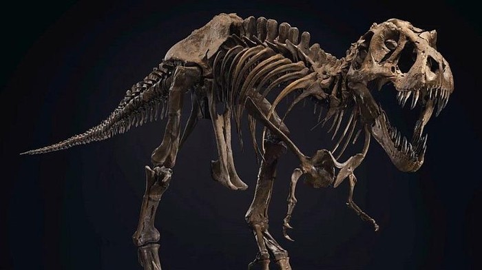 DInosaurus dilelang