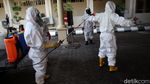 4 Anggota Positif Corona, Gedung DPRD DIY Disemprot Disinfektan