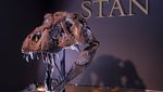 Kerangka T-Rex Terbesar Ini Akan Dilelang