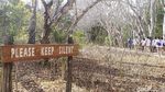Foto: Mencari Komodo di Sarangnya