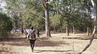 Selain itu harus waspada dengan keadaan sekitar, karena komodo pandai menyamar.