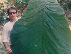 Bukti Kalau Manusia di Dunia ini Sebenarnya Kecil