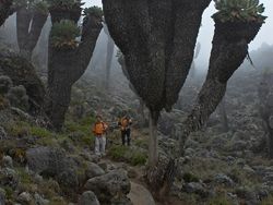 Bukti Kalau Manusia di Dunia ini Sebenarnya Kecil