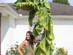 Bukti Kalau Manusia di Dunia ini Sebenarnya Kecil