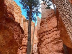 Bukti Kalau Manusia di Dunia ini Sebenarnya Kecil