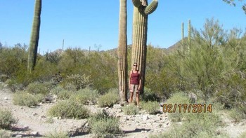 Manusia vs kaktus. Foto: Brightside