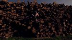 Foto Berlatih Panjat Tebing di Tumpukan Kayu