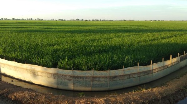Upaya Tingkatkan Hasil Panen dan Kesejahteraan Petani