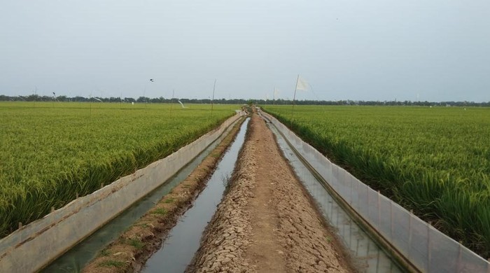 Upaya Tingkatkan Hasil Panen Dan Kesejahteraan Petani Upaya Tingkatkan Hasil Panen Dan Kesejahteraan Petani