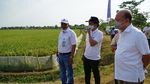 Upaya Tingkatkan Hasil Panen dan Kesejahteraan Petani