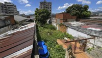 Penduduk Caracas bercocok tanam di mana pun mereka bisa menemukan ruang untuk berlindung dari krisis ekonomi.  