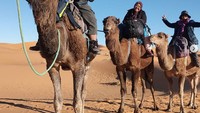Merekapun menikmati petulangan sleama bepergian dengan van. Beragam hal berkesan yang mereka kenang, seperti parkir di hutan sendirian di Skotlandia, parkir di tebing Moher di Irlandia, mengemudi melalui pegunungan Atlas yang indah dan rute menantang Ngarai Dades di Maroko. Serta bersepeda di gurun Sahara dan diundang ke pernikahan nomad. 