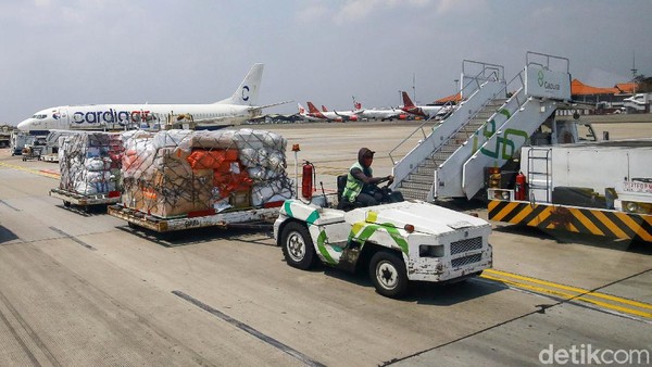 Bisnis Kargo Bertahan di Masa Pandemi