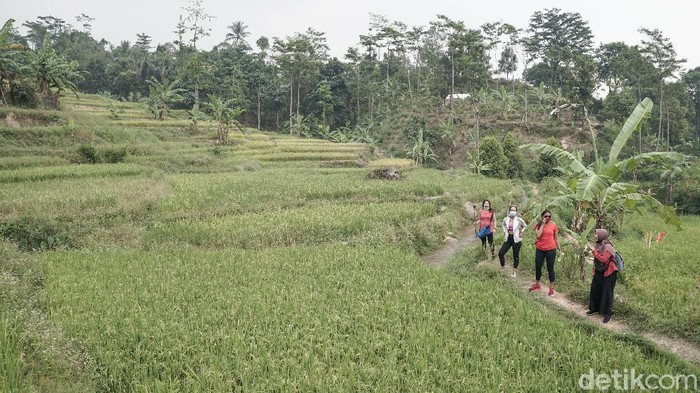 hiking di Sentul