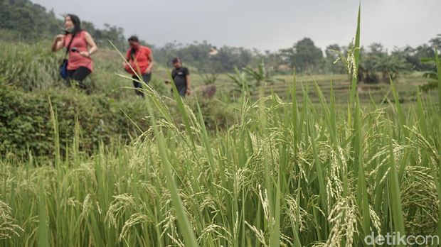 hiking di Sentul