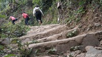 Operator lainnya, Sebex juga mulai mengembangkan divisi baru untuk melayani hiking. sebelumnya, mereka berfokus pada penggemar gowes, baik road bike atau sepeda gunung. Kini, Sebex melayani turis pehobi hiking lewat Indonesia Trail Walker.