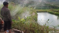 Lumrahnya, budidaya ikan menggunakan air tawar biasa. Namun berbeda di dataran tinggi Dieng, Jawa Tengah. Kolam ikan di daerah ini menggunakan air dengan suhu hingga 40 derajat celsius.