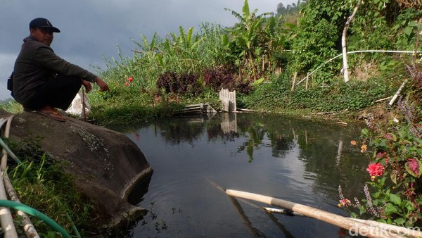Adalah warga Dusun Bitingan, Desa Kepakisan, Kecamatan Batur, Banjarnegara. Berada di lembah pegunungan di Dieng, sumber mata air panas di dusun ini pun melimpah. Sebagian warga memanfaatkannya untuk mengairi kolam ikan air tawar. Adalah warga Dusun Bitingan, Desa Kepakisan, Kecamatan Batur, Banjarnegara. Berada di lembah pegunungan di Dieng, sumber mata air panas di dusun ini pun melimpah. Sebagian warga memanfaatkannya untuk mengairi kolam ikan air tawar.