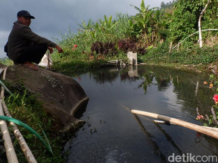Potret Kolam Ikan dengan Air Panas di Dieng
