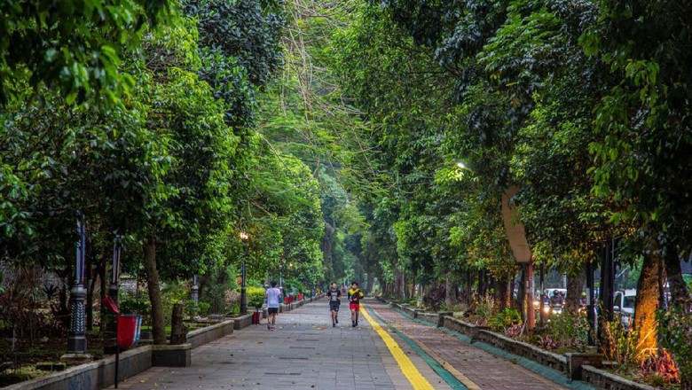 Pedestarian SSA Kebun Raya Bogor Pedestarian SSA Kebun Raya Bogor