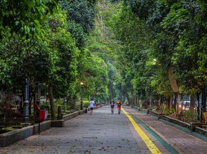 Cara Beli Tiket Kebun Raya Bogor Secara Online Beserta Harganya