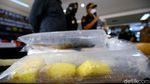Jutaan Benih Lobster Ilegal Gagal Terbang ke Vietnam