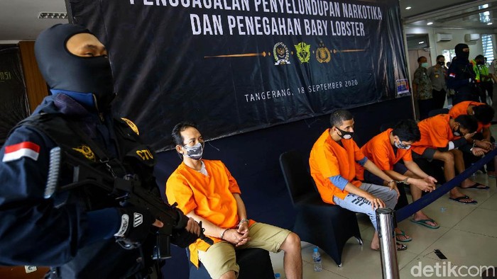 Penyelundupan Jutaan Benih Lobster ke Vietnam Berhasil Digagalkan Petugas Bea dan Cukai Bandara Internasional Soekarno-Hatta gagalkan penyelundupan benih lobster. Jutaan benih lobster itu akan diselundupkan ke Vietnam.