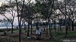 Pesona Matahari Terbenam di Utara Jakarta Saat PSBB Ketat