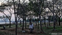 Diketahui, Pemprov DKI Jakarta kembali menerapkan pembatasan sosial berskala besar (PSBB) secara ketat guna menekan angka kasus COVID-19 di Ibu Kota. Di tengah pembatasan aktivitas, tak sedikit warga yang mendatangi area Waduk Cincin untuk sekadar melepas penat bersama teman maupun keluarga.