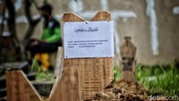 Jenazah Sekda DKI Jakarta Saefullah dimakamkan di makam keluarga di Rorotan, Cilincing, Jakarta Utara. Pradita Utama/detikcom  