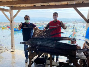 BPH Migas Minta Pertamina Bangun SPBN di Pelabuhan Krui