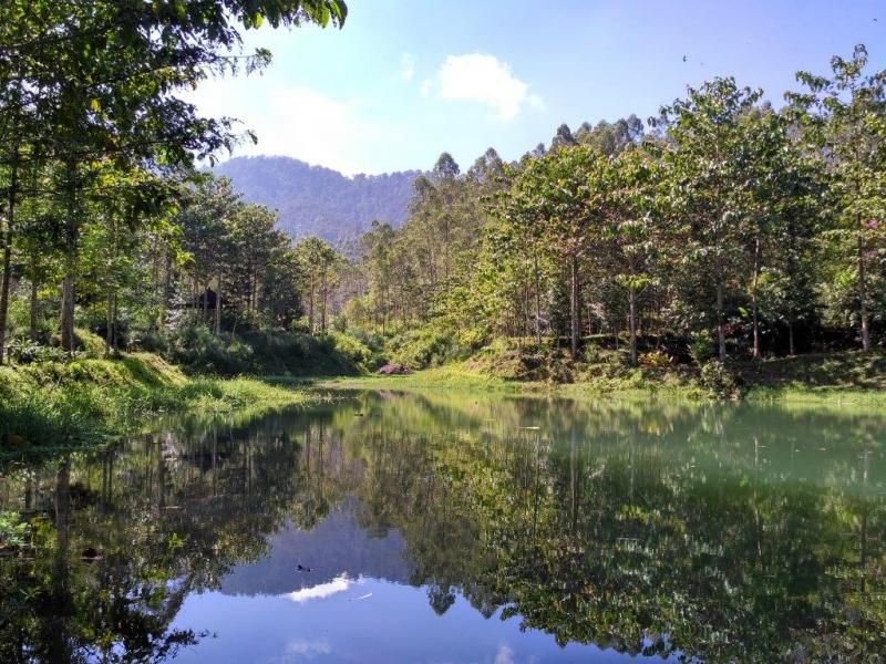 Sukaluyu Bandung