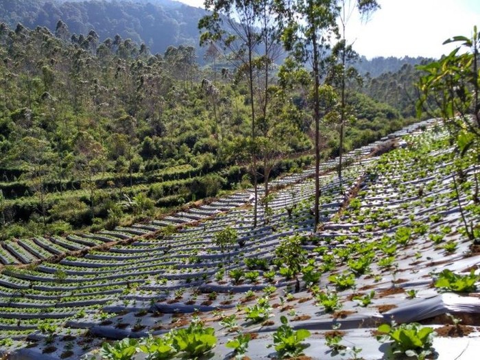 Sukaluyu Bandung