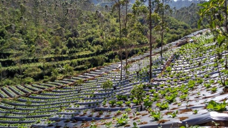 Sukaluyu Bandung Sukaluyu Bandung