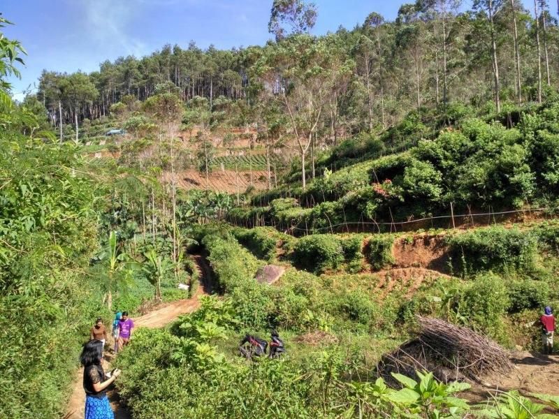 Sukaluyu Bandung