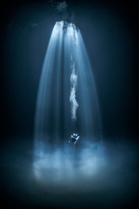 Underwater Photo Contest 2020